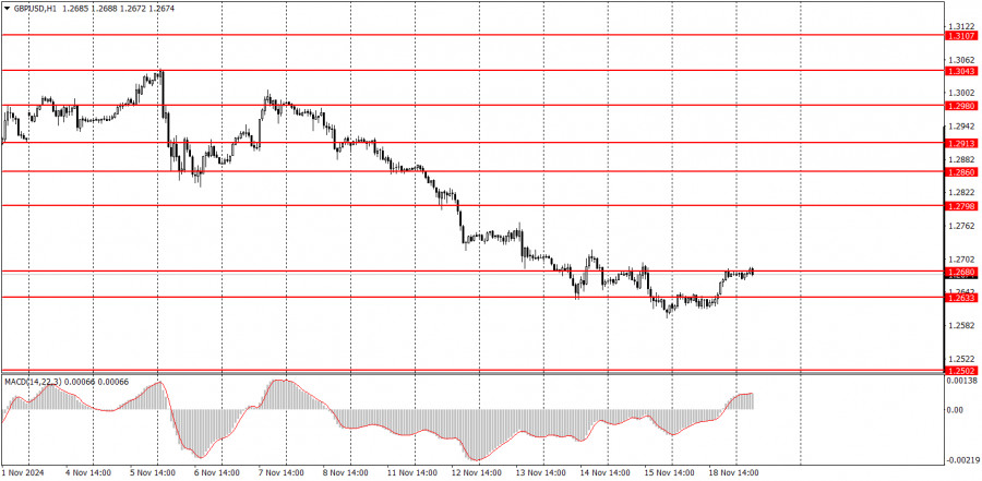 analytics673c1ecfe17bd.jpg