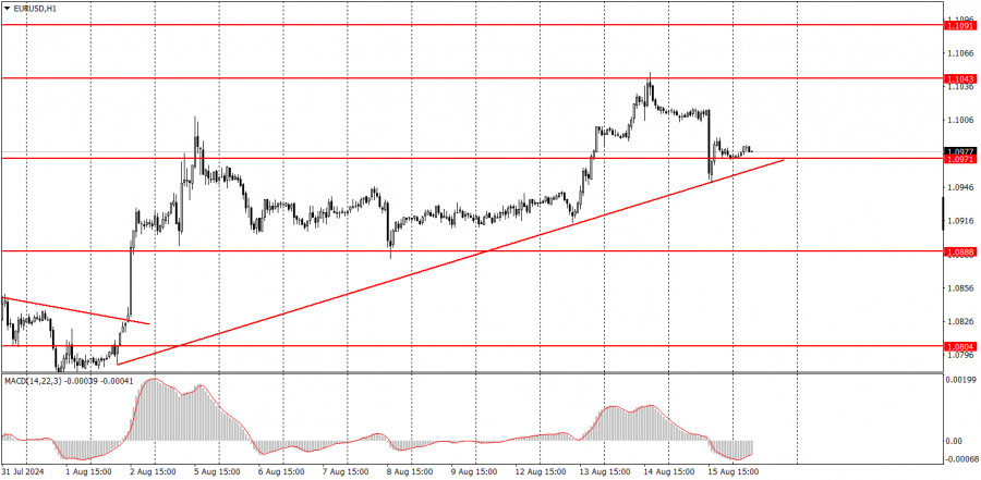 analytics66bed8aaed912.jpg