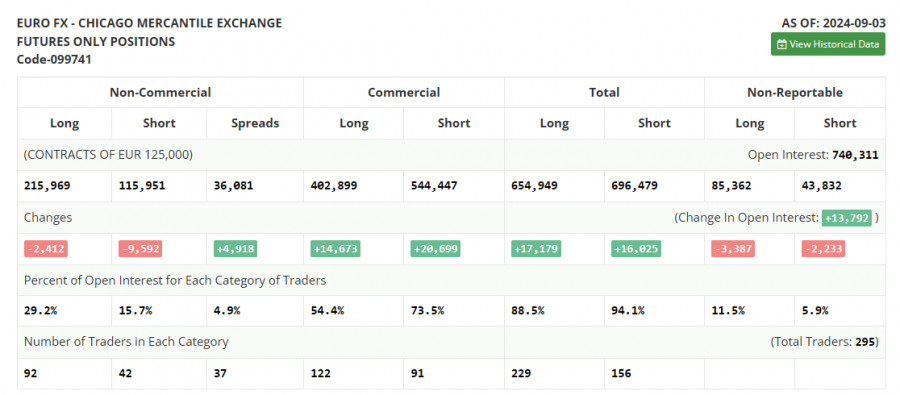 analytics66e02a8d73ba7.jpg