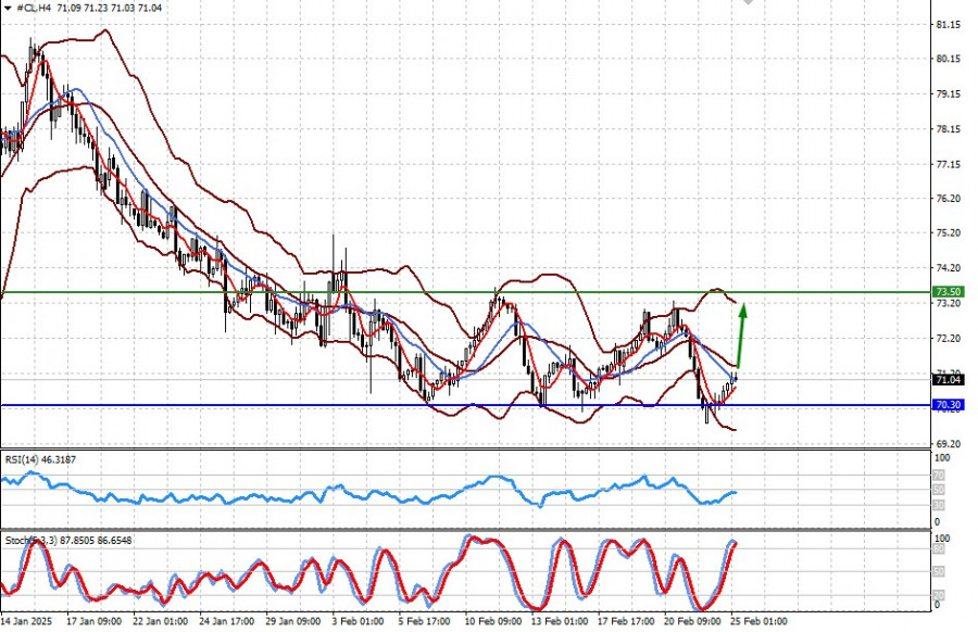 analytics67bd69087cbc8.jpg