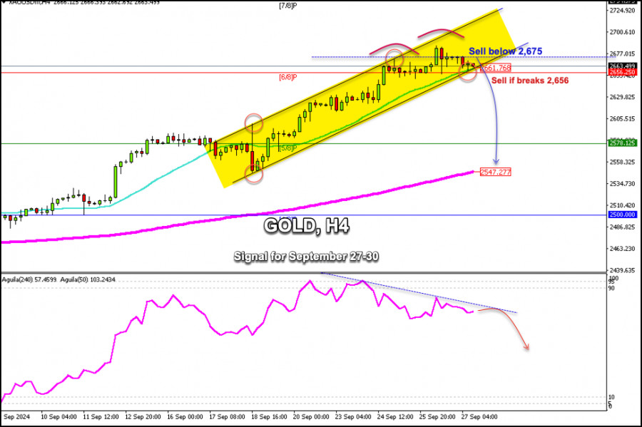 analytics66f6bea1943c4.jpg