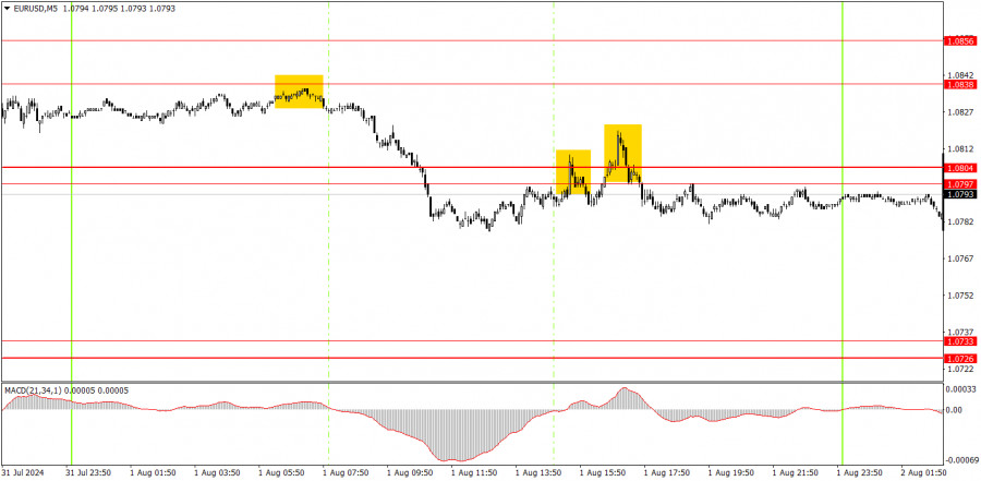 analytics66ac565abef25.jpg