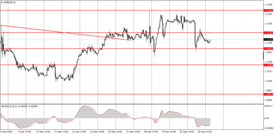 analytics66f23faeca20a.jpg