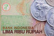 C:\fakepath\Indoneska-rupie-1022025-1.png